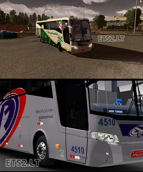 new-bus
