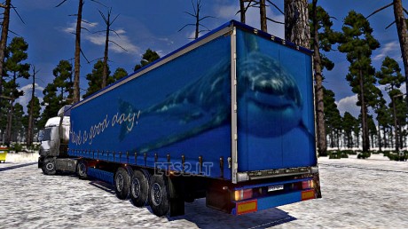 shark-trailer
