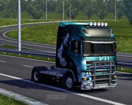 DAF Sleeping Dogs Skin