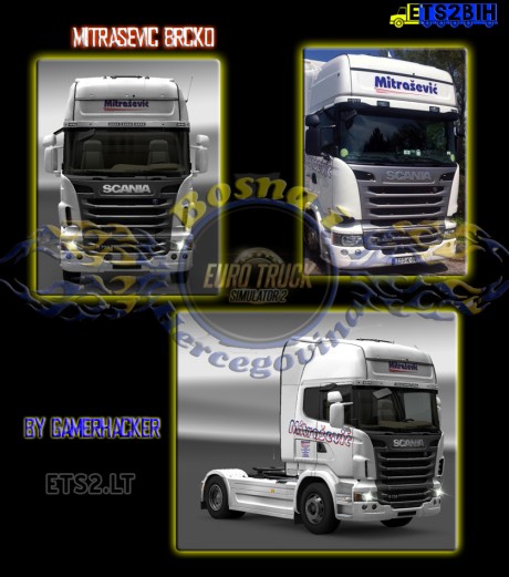 Scania-Mitrasevic-Skin