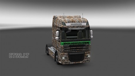 Daf Xf 105 skin V1.0