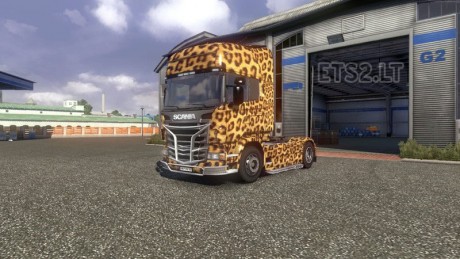 leopard