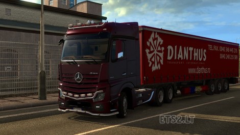 Dianthus Transport-1