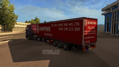 Dianthus Transport-3