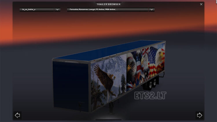 DC-Bald Eagle American Trailer Skin 01