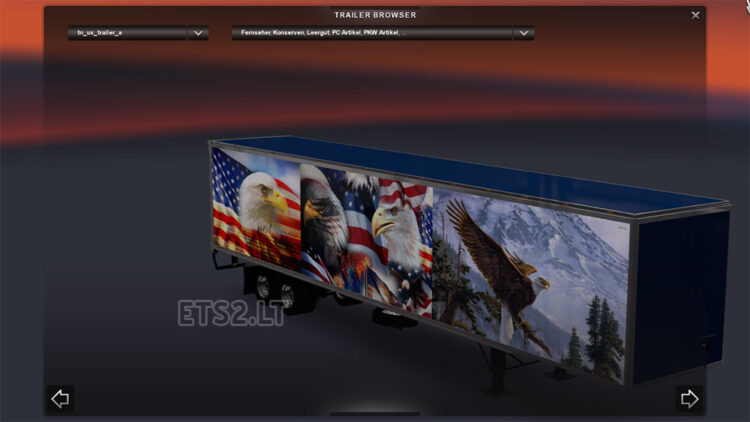 DC-Bald Eagle American Trailer Skin 01