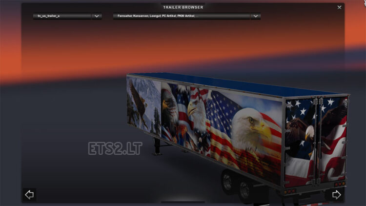 DC-Bald Eagle American Trailer Skin 01