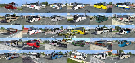 Bus Traffic Pack (2)