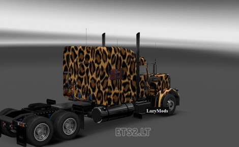 Cheetah-2