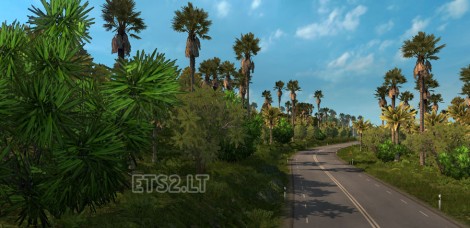 Tropical-Trees-1