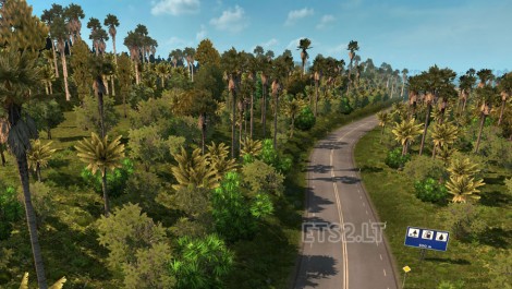 Tropical-Trees-2