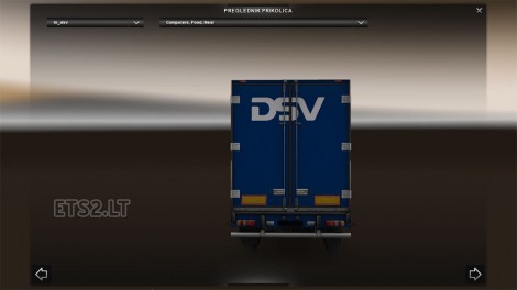 dsv2