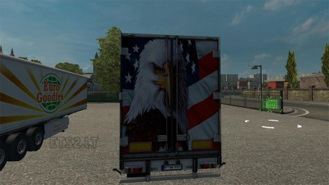 eagle-2