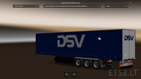 DSV-1