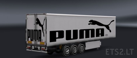 Puma-3