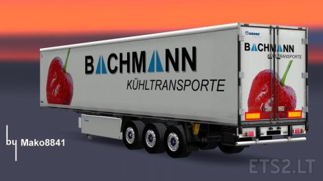 bachamn