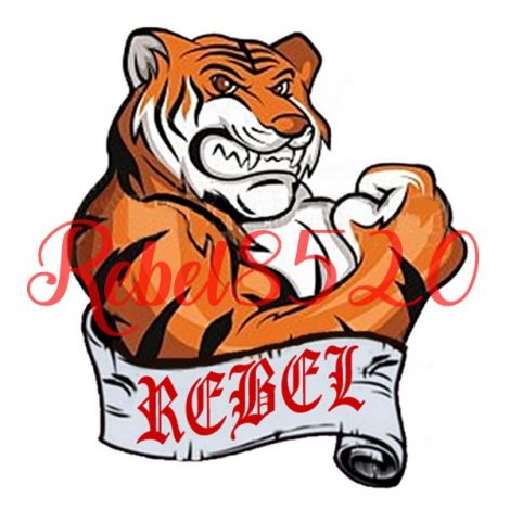Stock Vector Tiger Sticker Banner 288488070