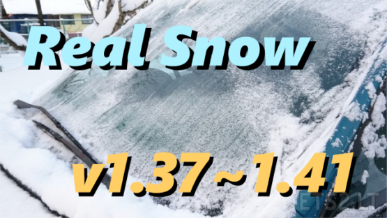 Real Snow v2.1