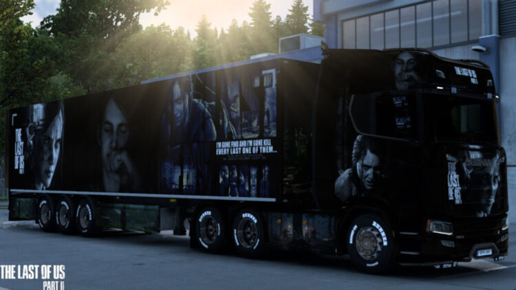 The Last of Us II Skin