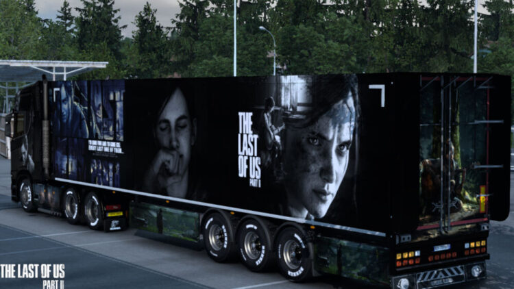 The Last of Us II Skin