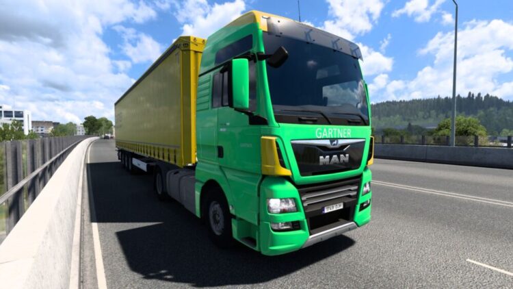 Gartner Skin Pack