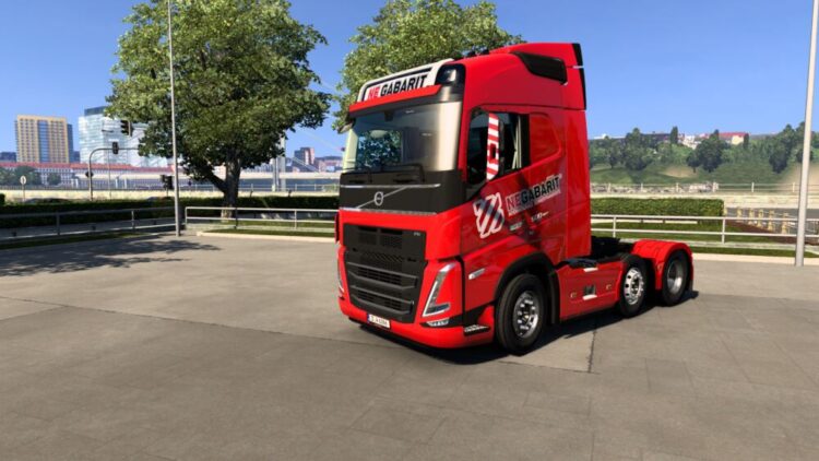 Skin NEGABARIT