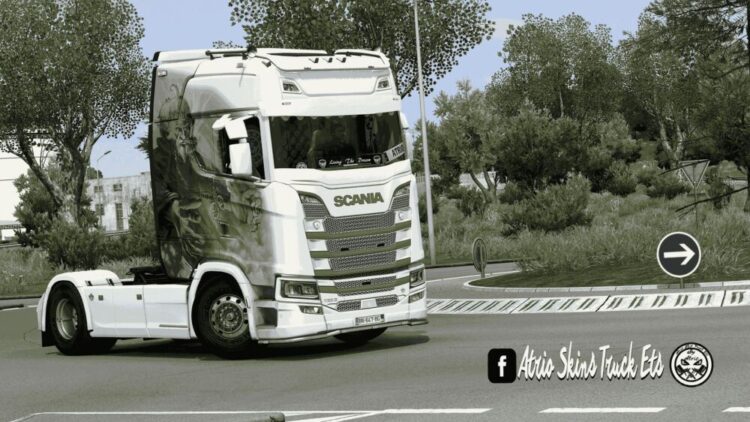 Skin Scania S Grenouille