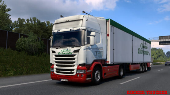 Spedition Gschwander Skin Pack v1.0 | ETS2 mods