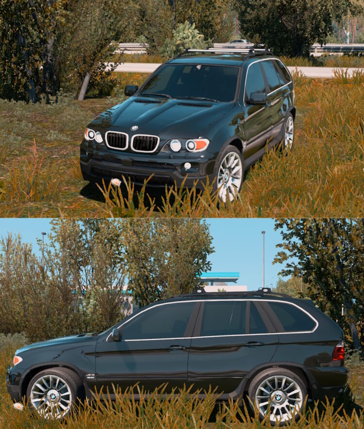 BMW X5 E53 2005 2.2 1.52-1.53