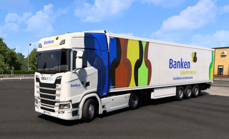 Combo Skin Banken Champignons