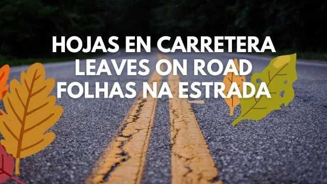 Leaves on the Road v1.52