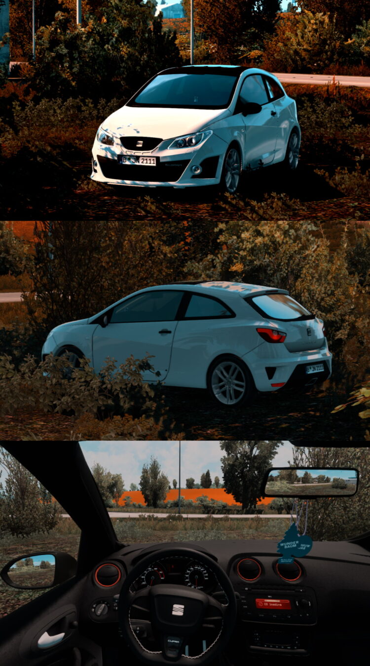 Seat Ibiza Cupra 2.1 1.52-1.53