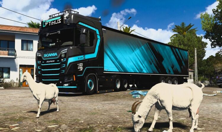 Optimus Combo Pack