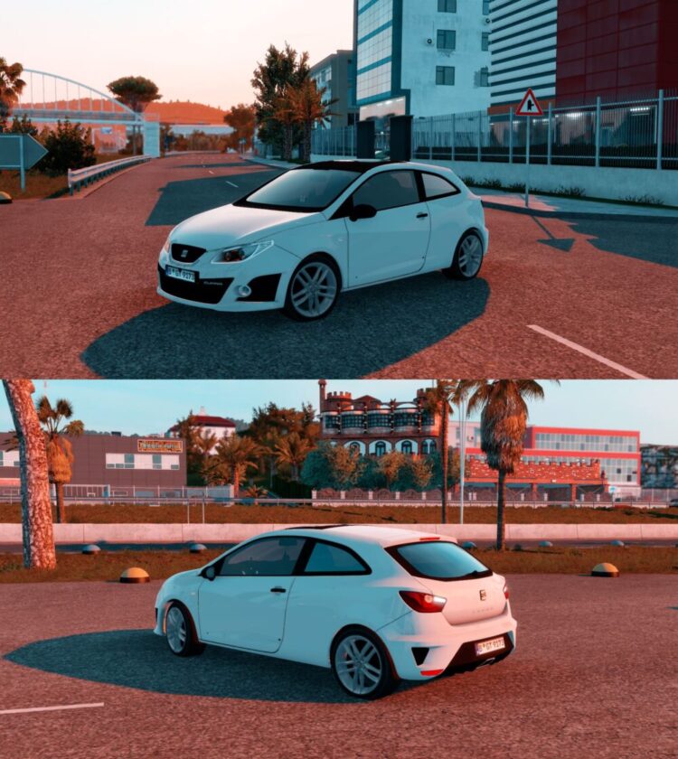 Seat Ibiza Cupra 2.2 1.54x