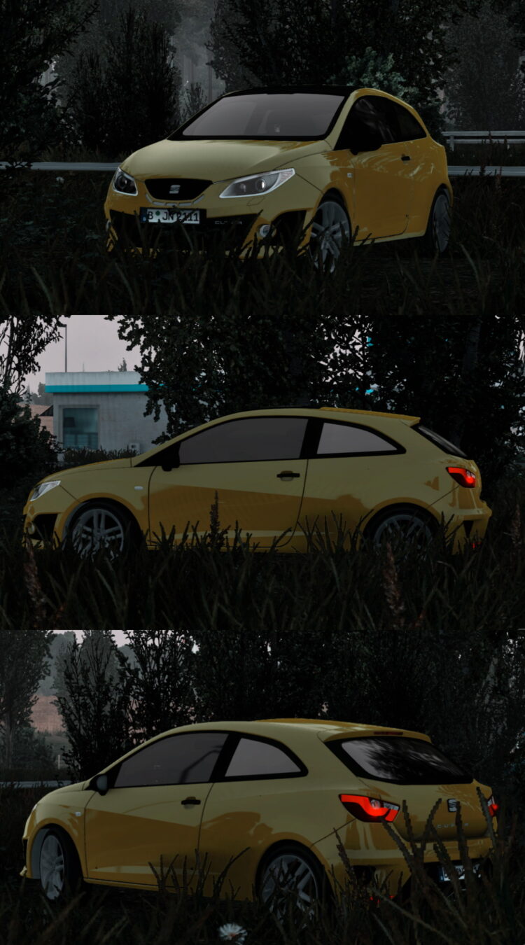 Seat Ibiza Cupra 2.2 1.54x