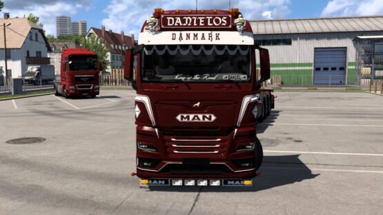 MAN TGX Danmark skin