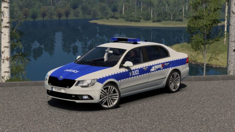 Skoda Admin Skin (Local mod, ALM) TMP