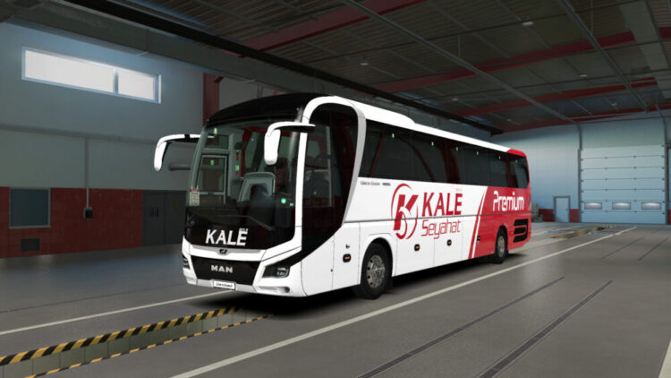 Man Lions Coach Kale Seyahat Skin Pack