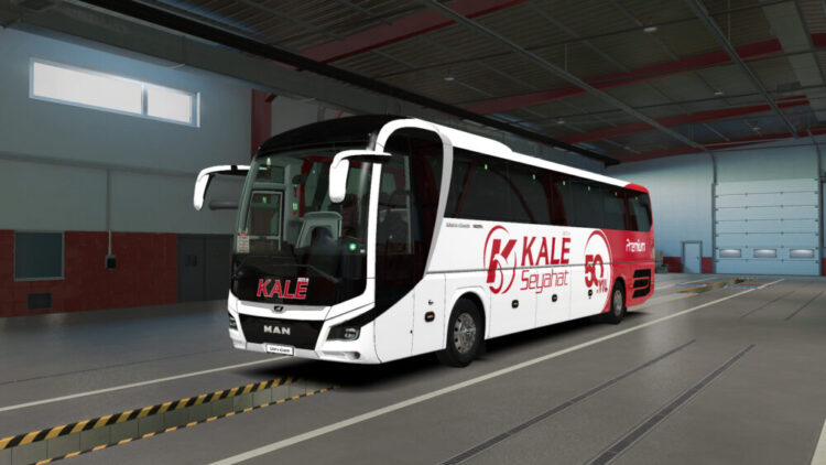 Man Lions Coach Kale Seyahat Skin Pack