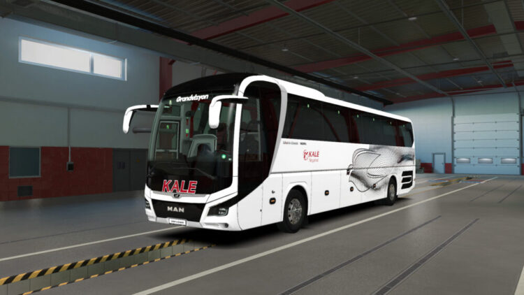 Man Lions Coach Kale Seyahat Skin Pack