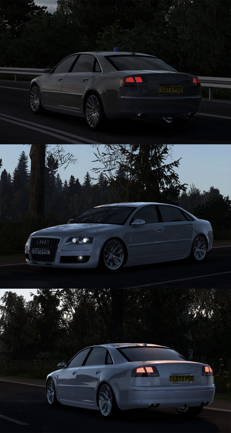 Audi A8 D3 V5.2 1.57