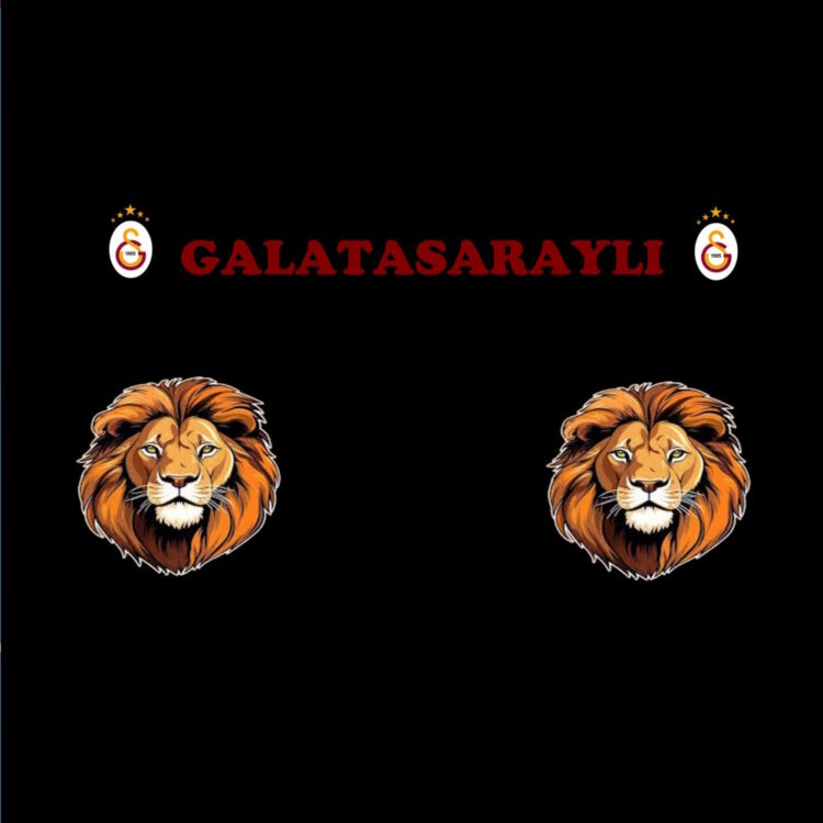 ETS2 Scania Galatasaray Cam Modu