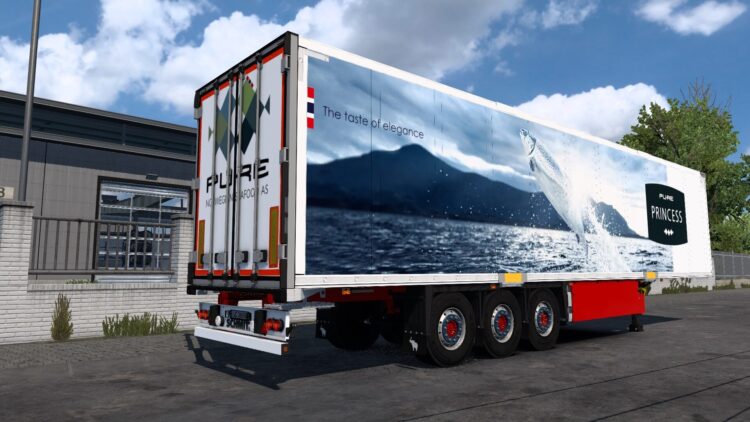 Schmitz S.KO COOL 2020 Pack v1.59