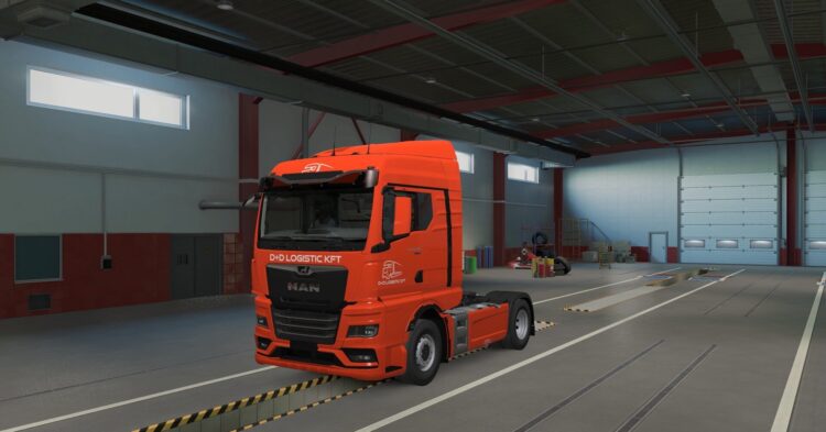 D+D Logistic Kft Skinpack for MAN TGX 2020