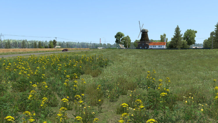 New Summer v6.8