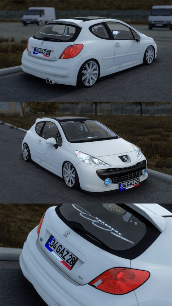 Peugeot 207 RC [1.61]