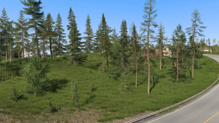 Grass_Tree_Improved_ETS